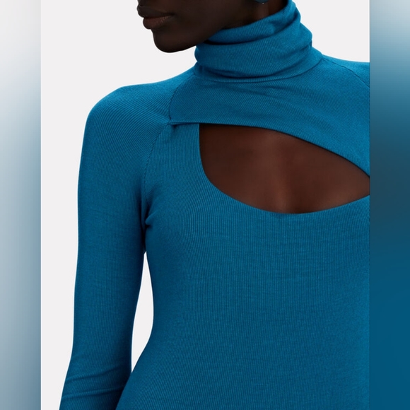 4. ALIX NYC CLARKSON RIBBED CUT OUT MIDI DRESS - Picture 4 of 9